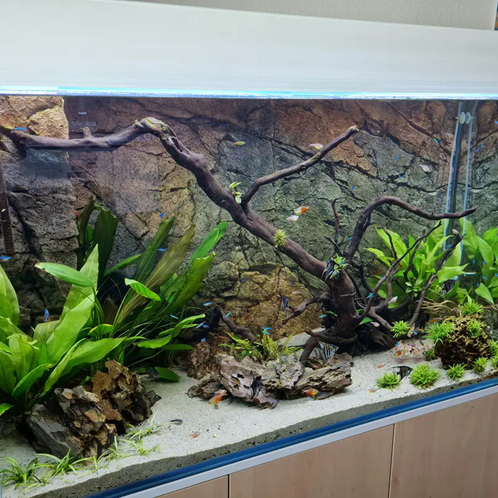 Customshop 120x50x70 - 420 Liter