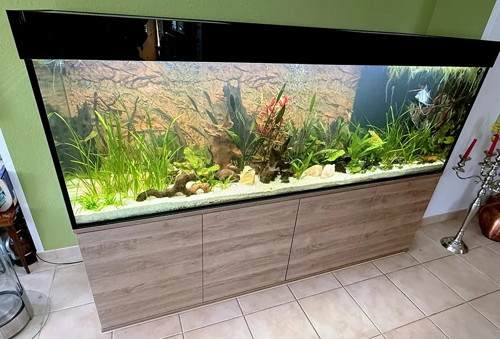 Customshop 200x60x65 - 780 Liter