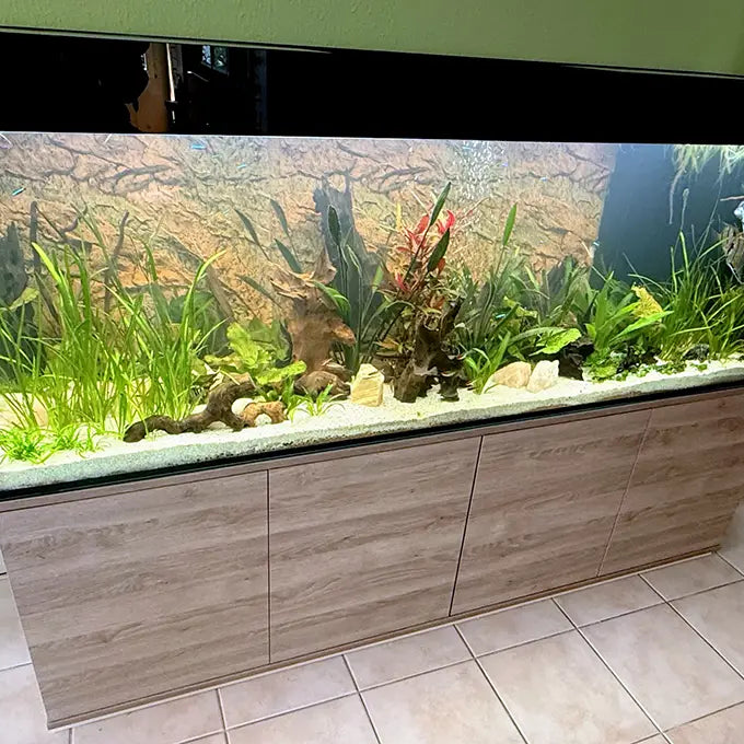 Customshop 200x60x65 - 780 Liter
