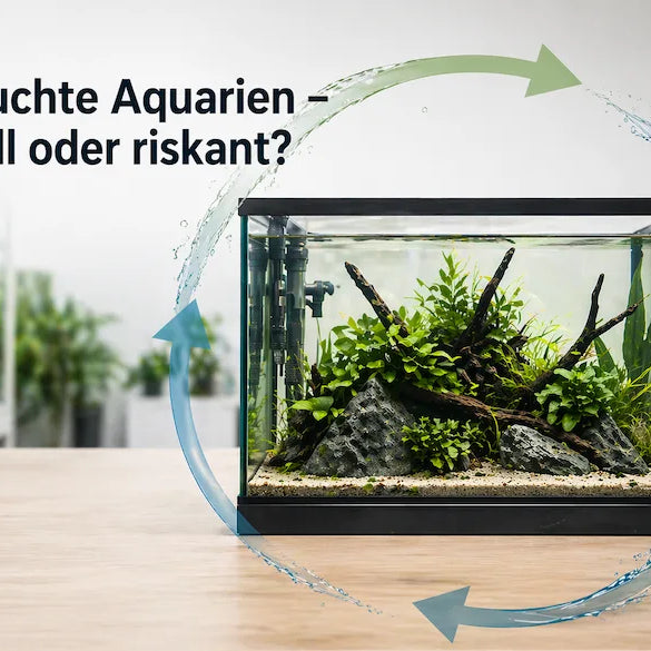 Tipps zu unseren Aquarien