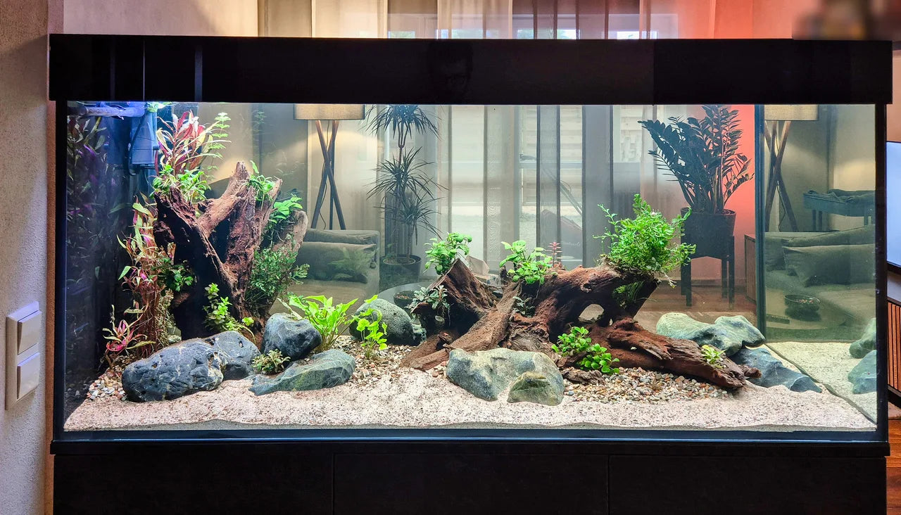 Customshop: Raumteiler Aquarium in Schieferoptik