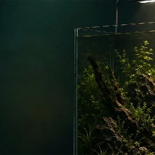 Beleuchtetes Aquascape mit Wurzelholz und Pflanzen unter einer AQUA TECK LED-Leuchte, Werbebanner „Ihr Aquarium verdient ein gscheites Licht“