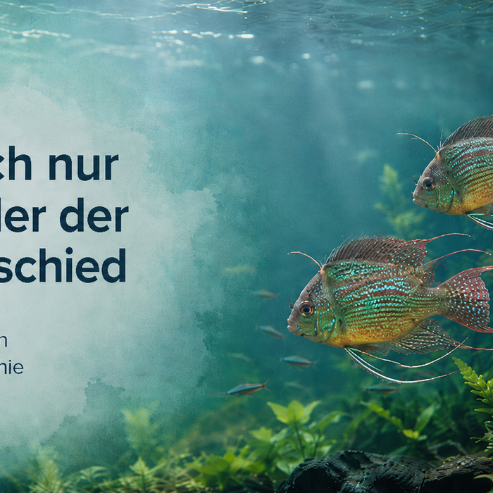 Es sind doch nur Fische - oder der feine Unterschied