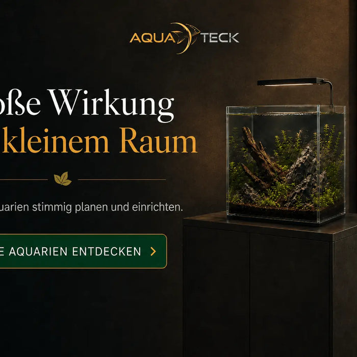 AQUA TECK Banner "Große Wirkung auf kleinem Raum" mit eingerichtetem Nano-Aquarium und LED-Beleuchtung