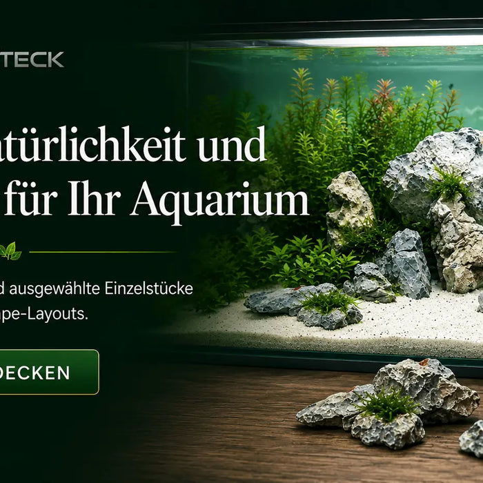Mehr Natürlichkeit und Struktur für Ihr Aquarium