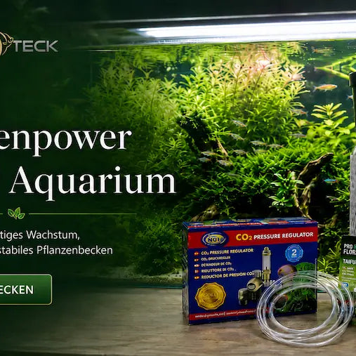 Aquateck Banner CO2-Düngung mit CO2-Druckminderer und CO2-Flasche vor bepflanztem Aquarium