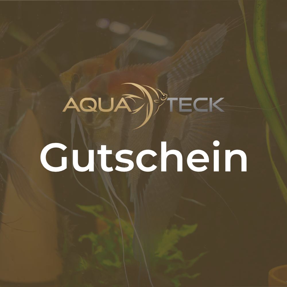Gutscheine