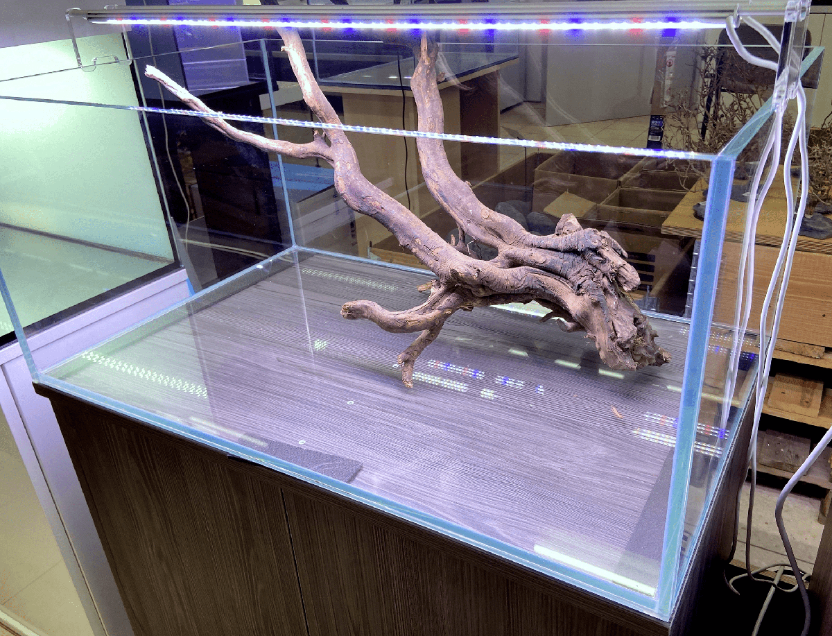Aquarium