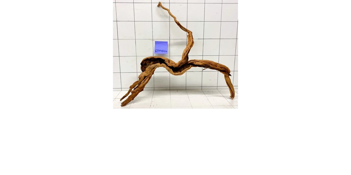 Curlwood Wurzelholz für Aquarium, fein verzweigt
