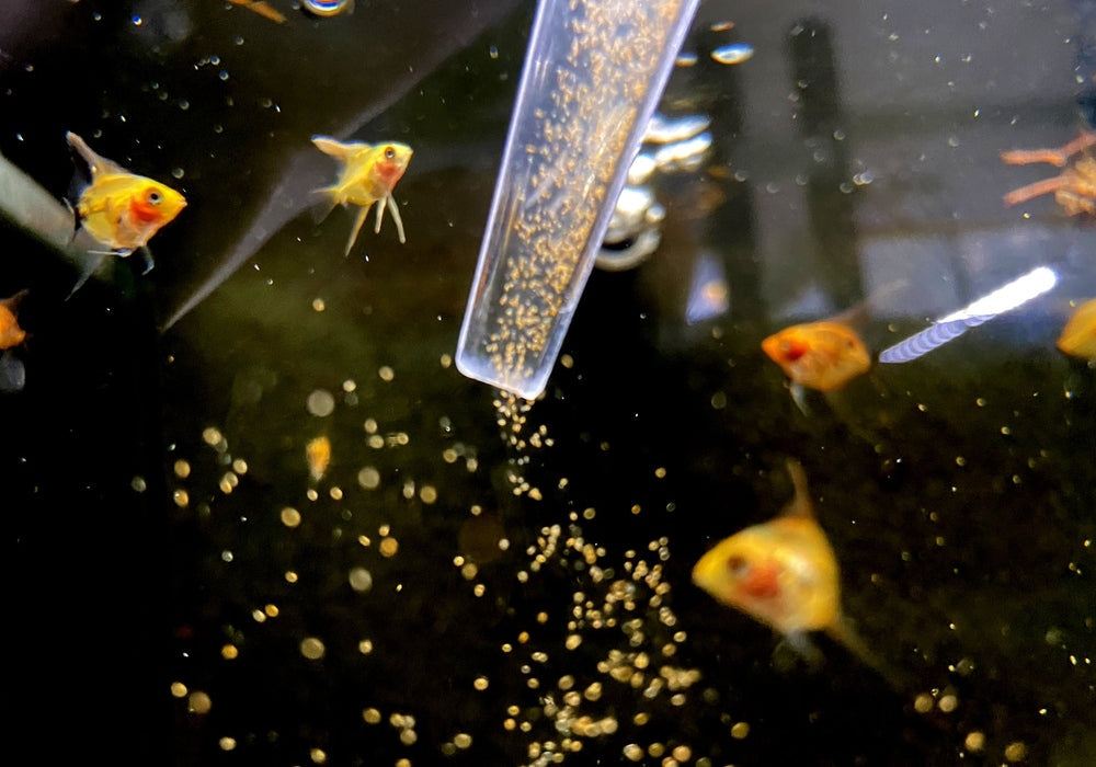 sera Aquaristik & Terraristik Produkte