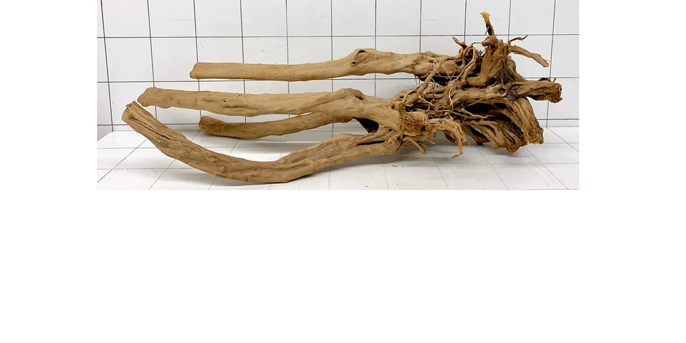61941W Wood Stump Wurzelholz XXL