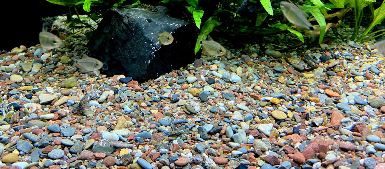 Kategorie Bodengrund