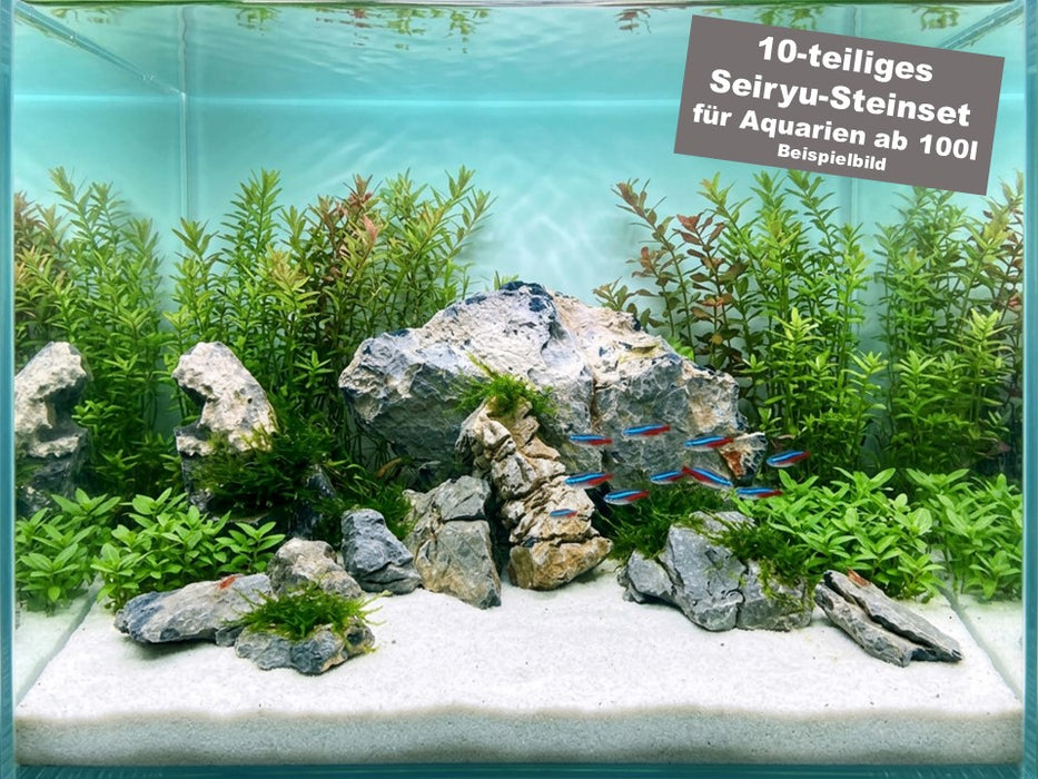 NEU -Seiryu Rock Steine-Set für 100l Aquarium