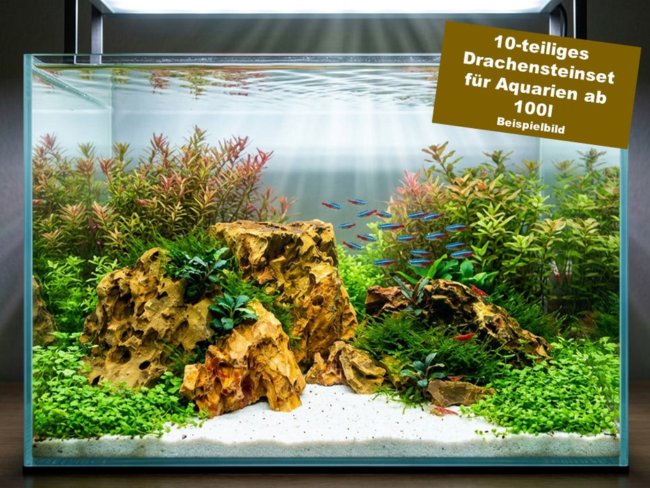 NEU - Drachenstein-Set für 100l Aquarium