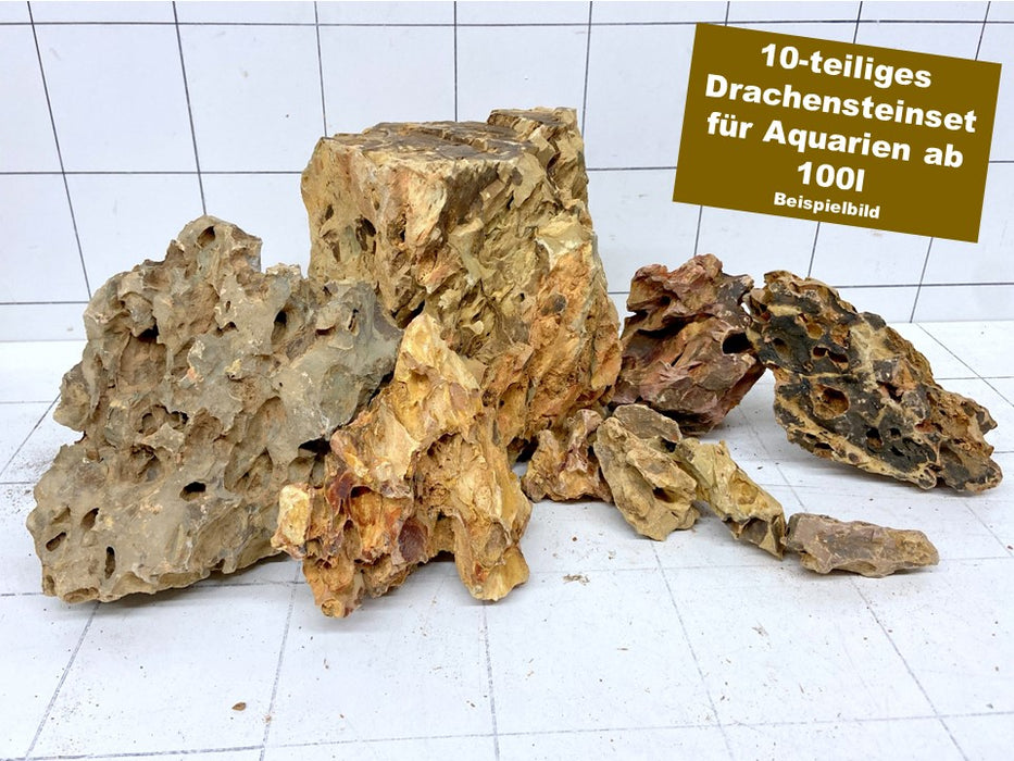 NEU - Drachenstein-Set für 100l Aquarium