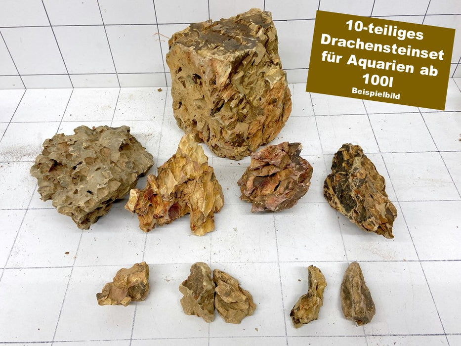 NEU - Drachenstein-Set für 100l Aquarium