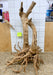 #5120WS Wood Stump