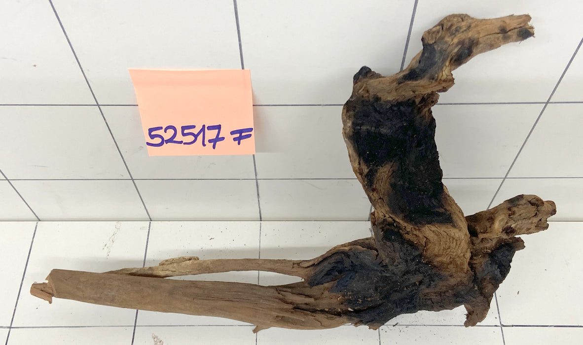 52517F Flussholz / Driftwood