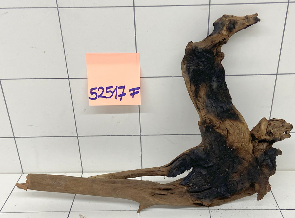 52517F Flussholz / Driftwood