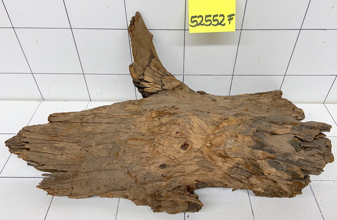 52552F Flussholz / Driftwood