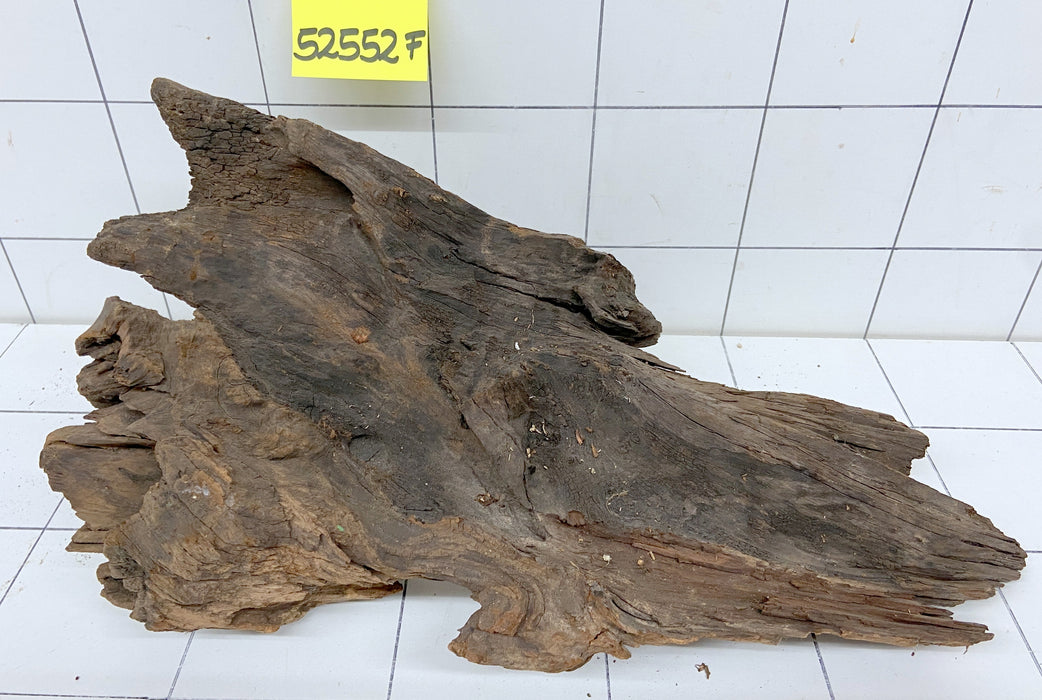 52552F Flussholz / Driftwood