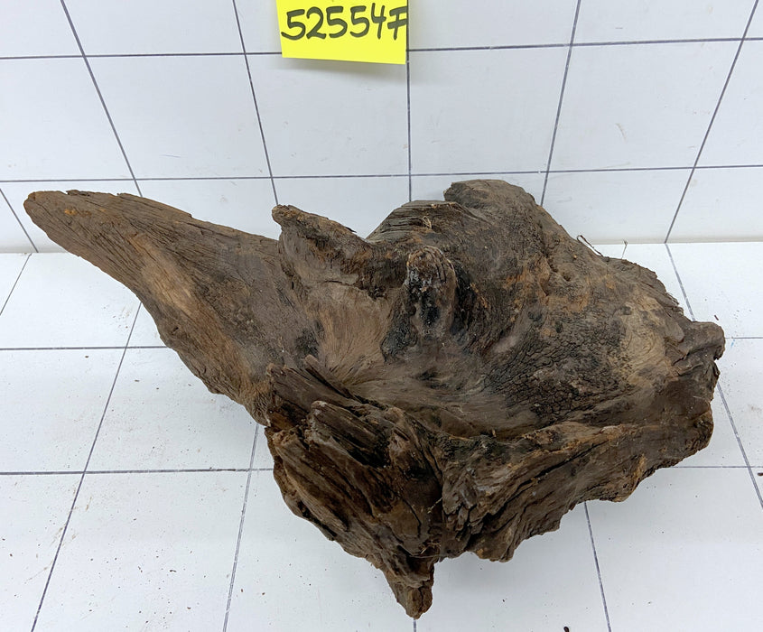 52554F Flussholz / Driftwood