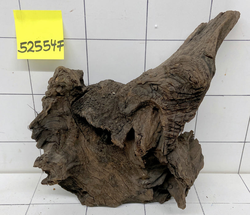 52554F Flussholz / Driftwood