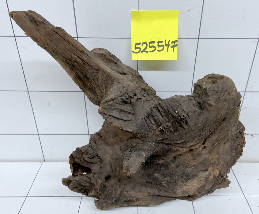 52554F Flussholz / Driftwood