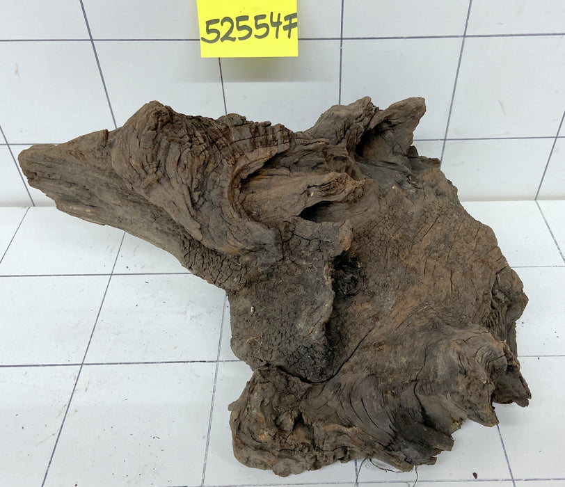 52554F Flussholz / Driftwood