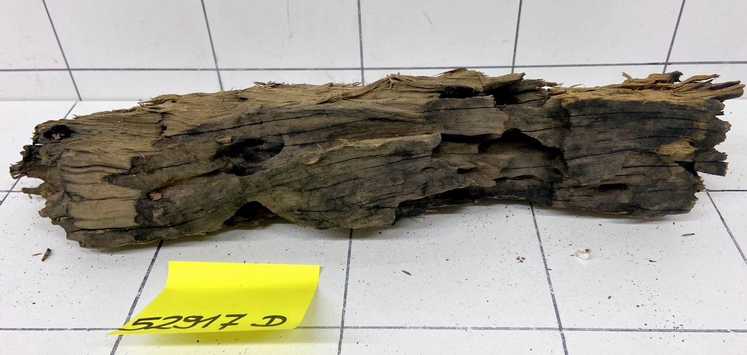 52917D - Drachenholz