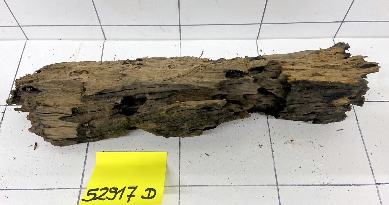 52917D - Drachenholz