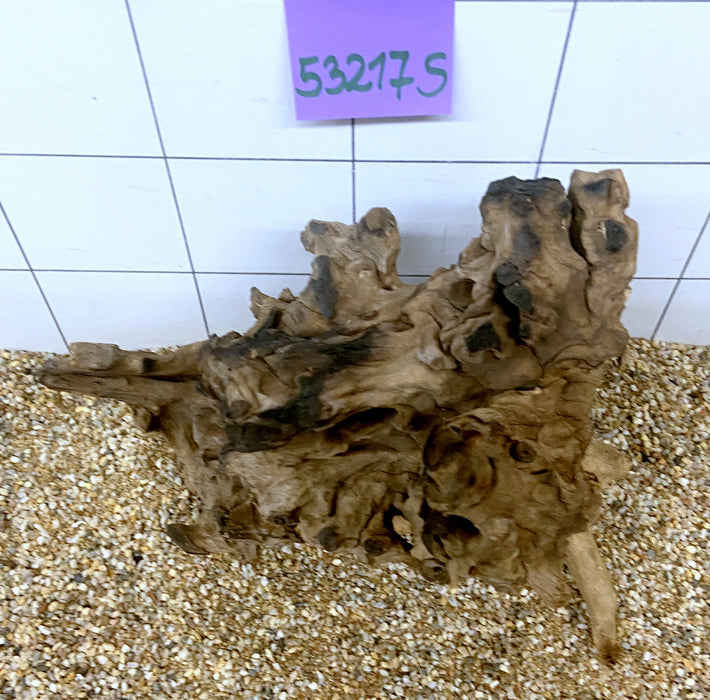 53217S Samoa Wurzel Holz