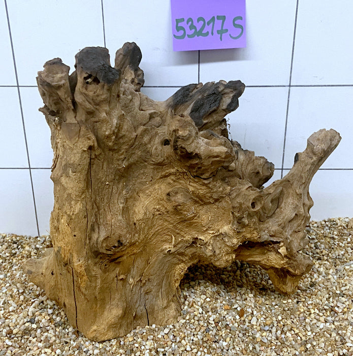 53217S Samoa Wurzel Holz