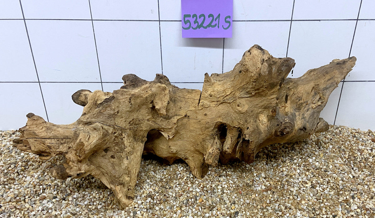 SONDERPREIS - 53221S Samoa Wurzel Holz