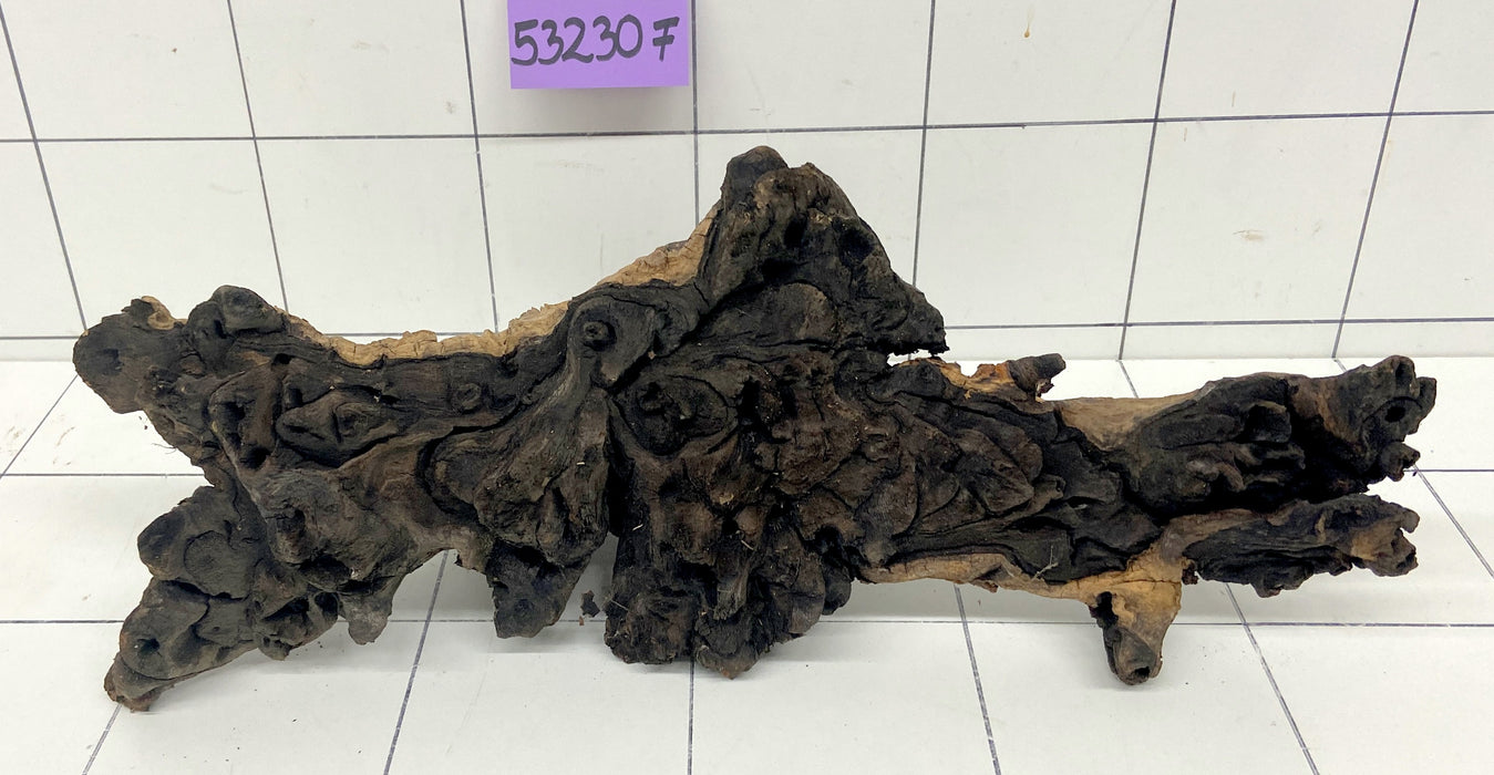 53230F Flussholz / Driftwood
