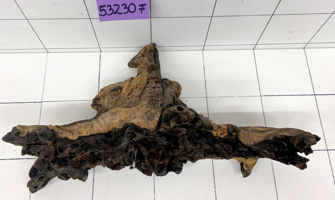 53230F Flussholz / Driftwood