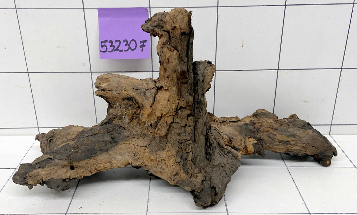 53230F Flussholz / Driftwood