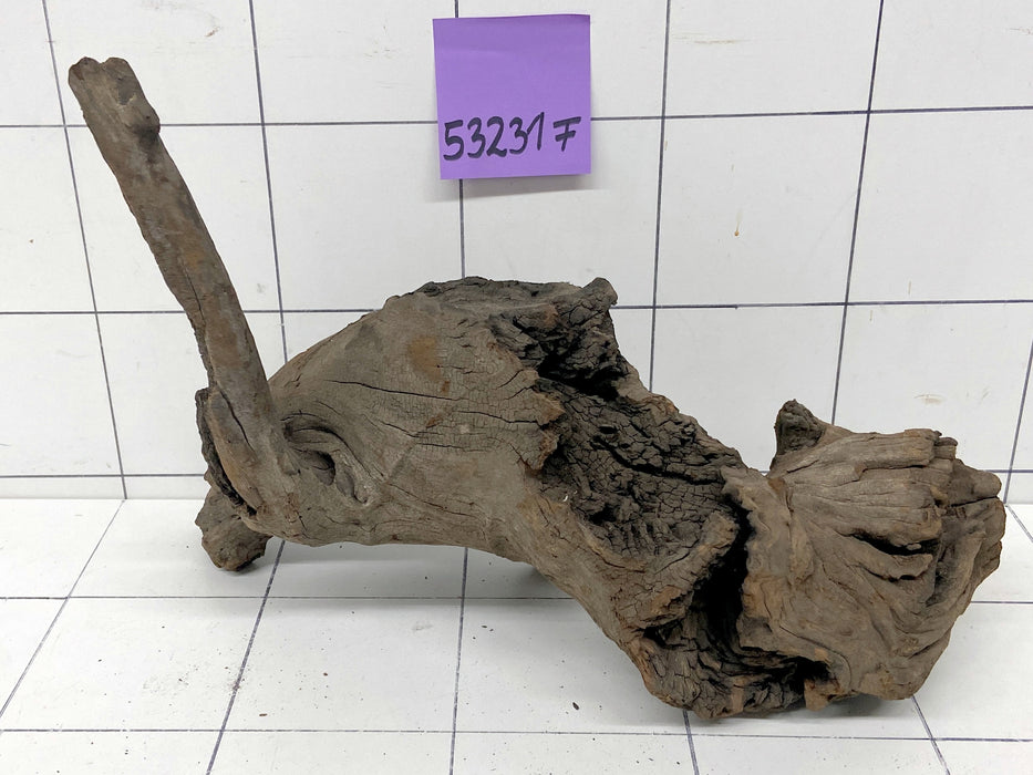 53231F Flussholz / Driftwood