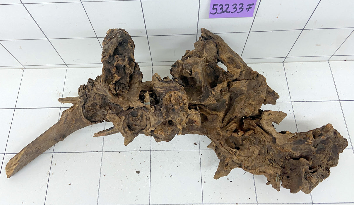 53233F Flussholz / Driftwood