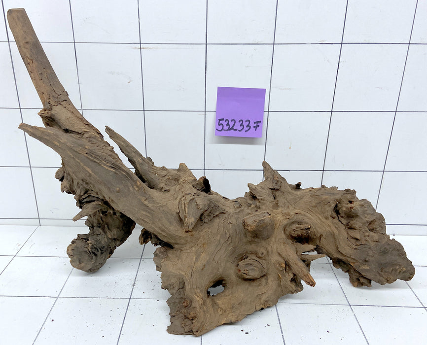 53233F Flussholz / Driftwood