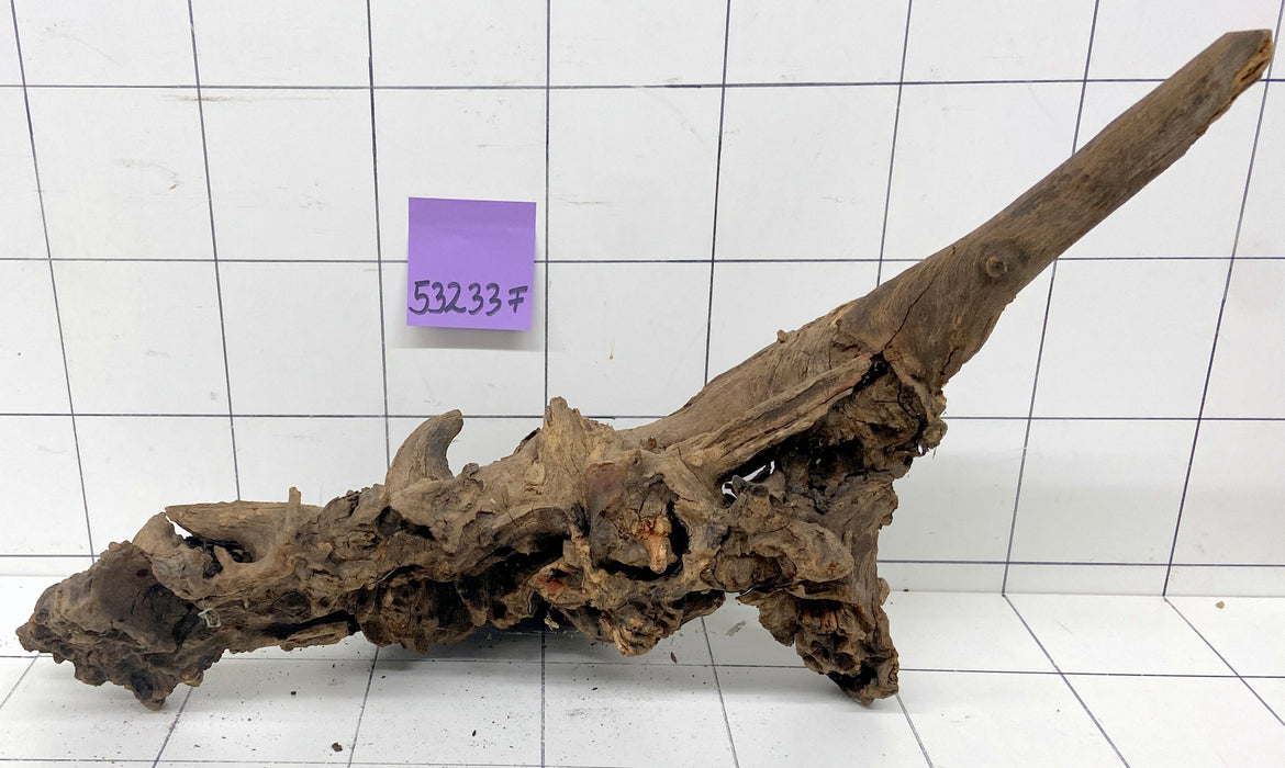 53233F Flussholz / Driftwood