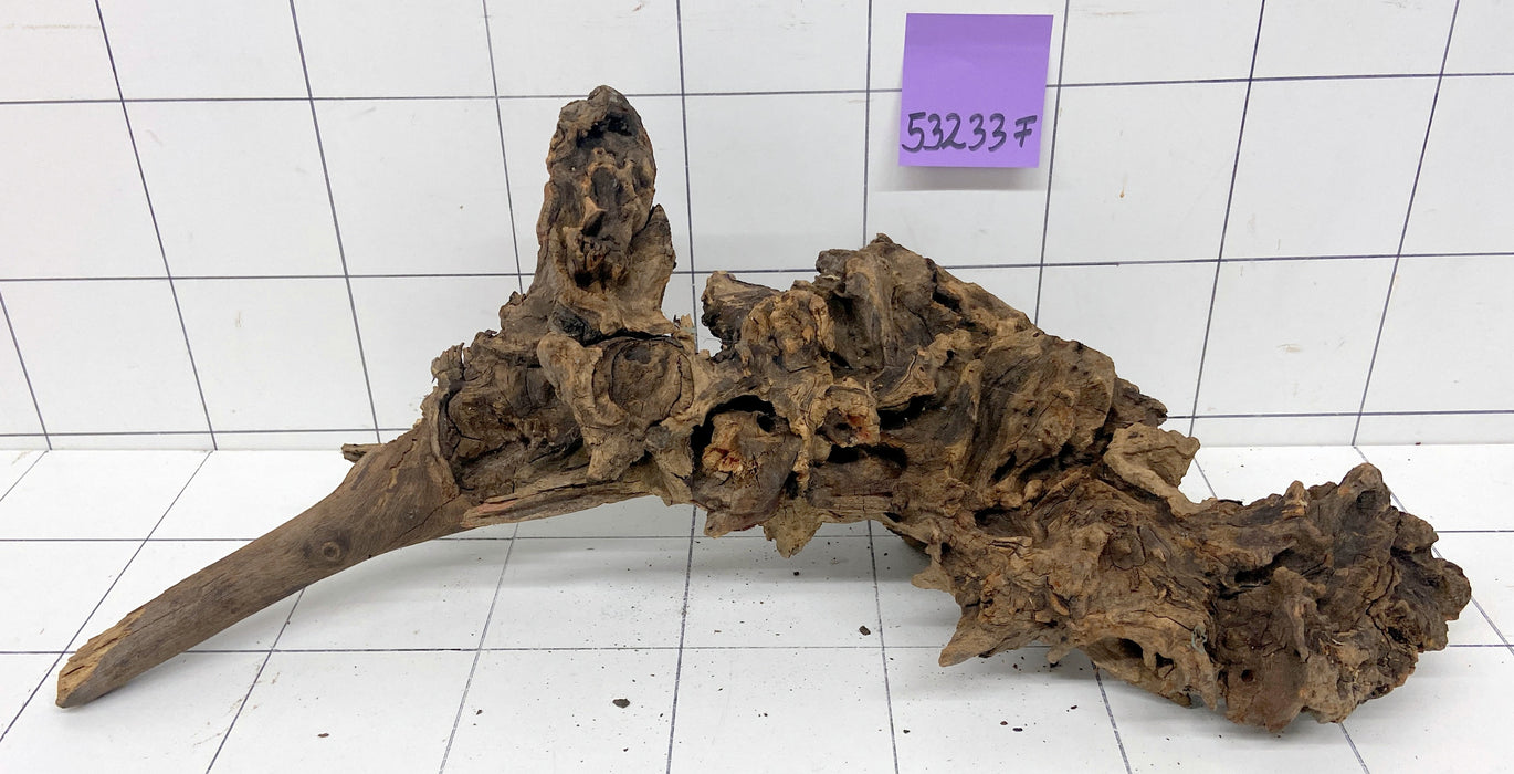 53233F Flussholz / Driftwood