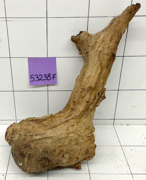 53238F Flussholz / Driftwood