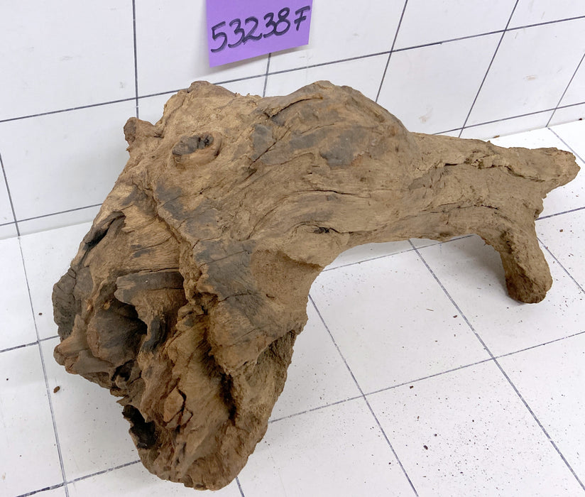 53238F Flussholz / Driftwood