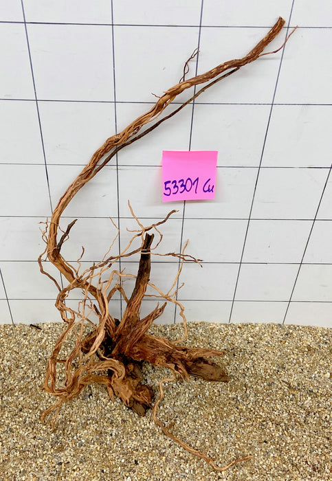 53301CU - Curlwood Wurzel Holz