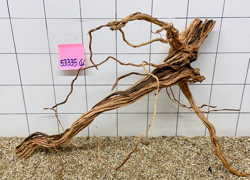 53335CU - Curlwood Wurzel Holz