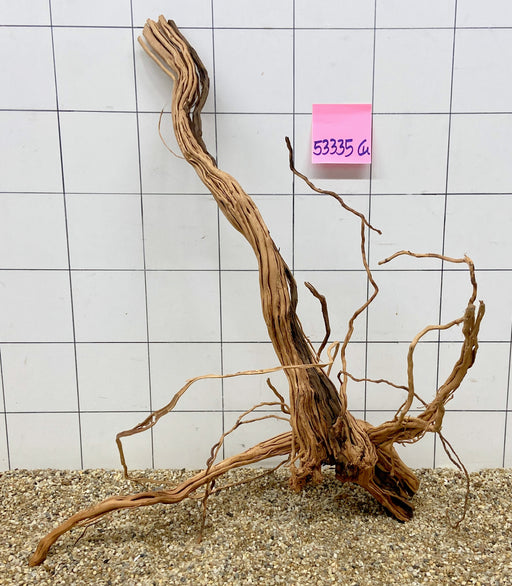53335CU - Curlwood Wurzel Holz