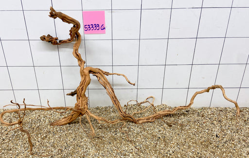 53339CU - Curlwood Wurzel Holz