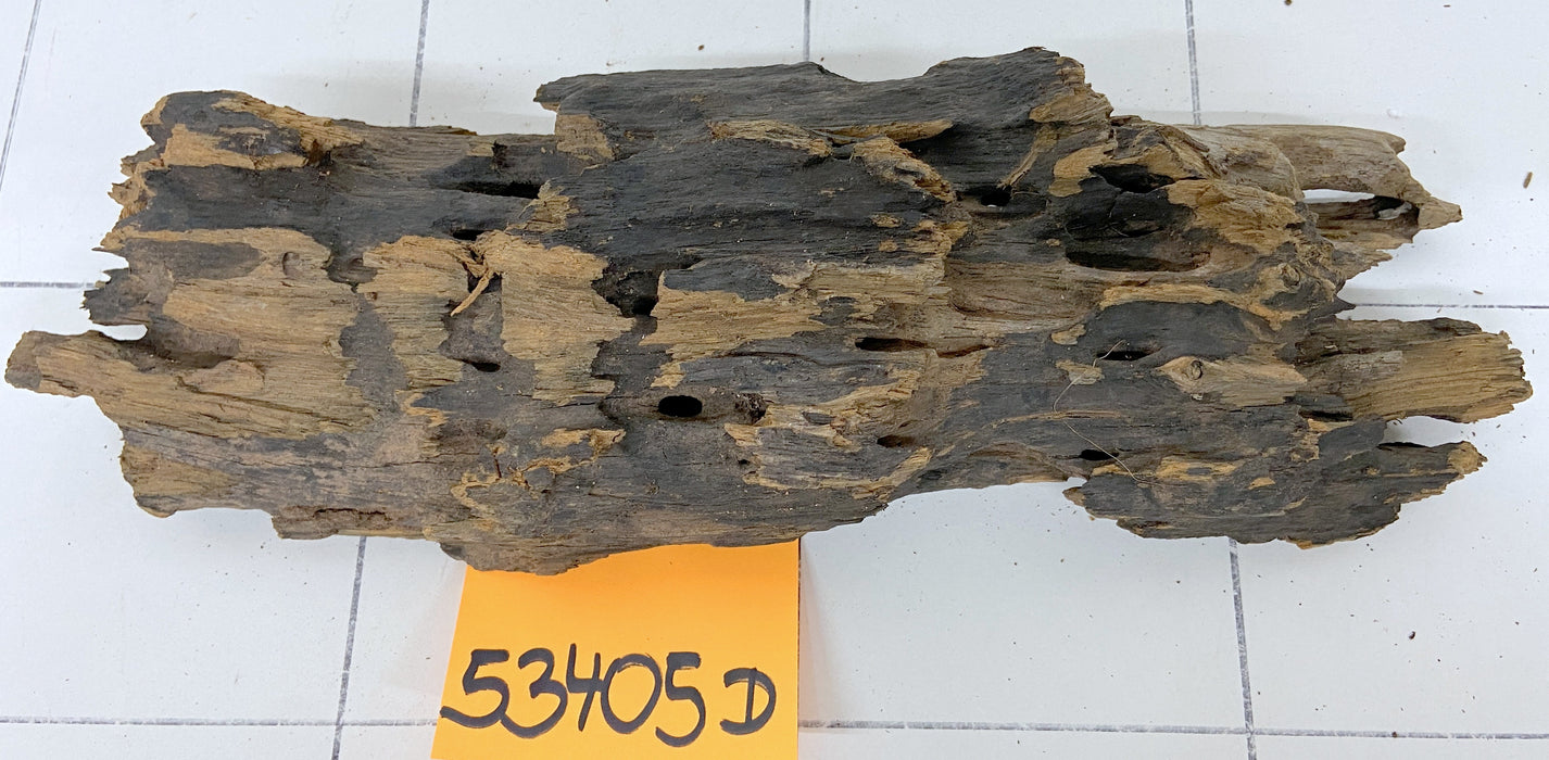 53405D - Drachenholz / Dragonwood