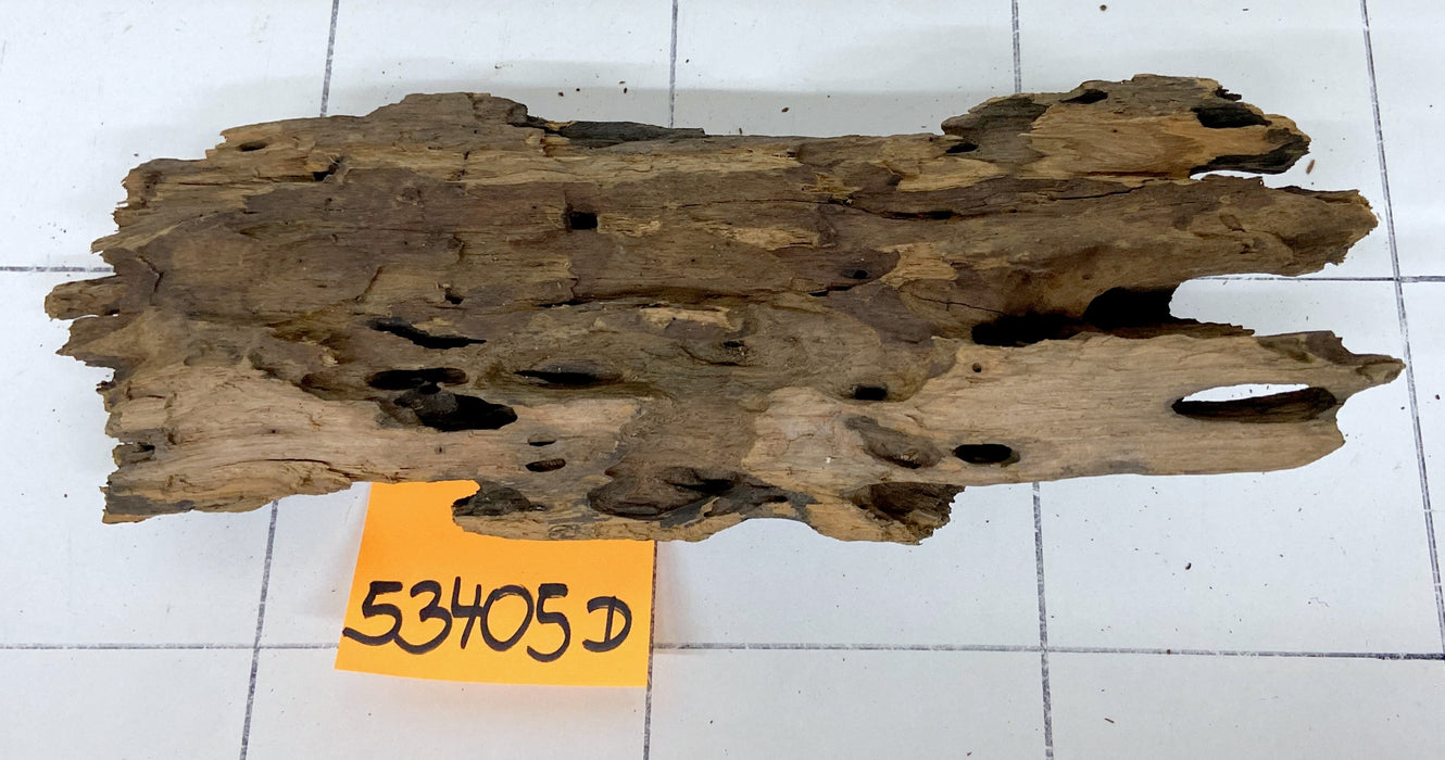 53405D - Drachenholz / Dragonwood